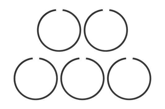 Piston Ring (5pc) FS400AR
