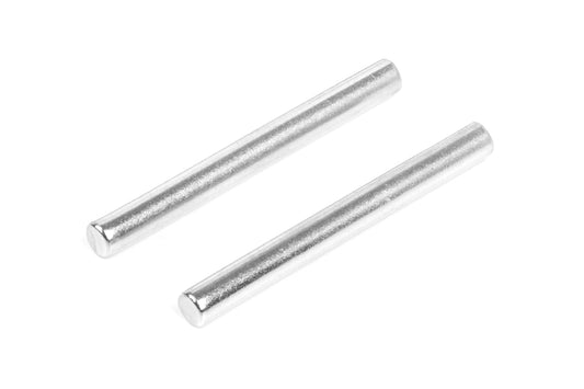 Lower Hinge Pin (2 pcs)