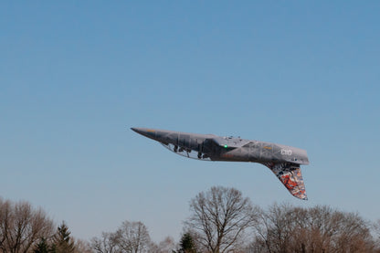 Kavan L-39 1088mm PNP - Skyfox