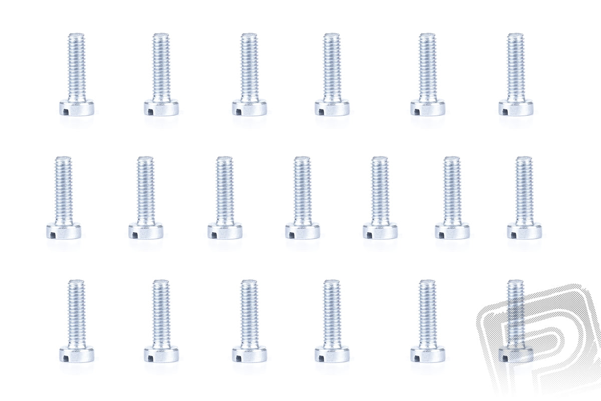 Slotted Cheese Head Bolt M3x10mm, 500 pcs