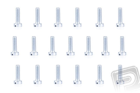 Slotted Cheese Head Bolt M3x10mm, 500 pcs