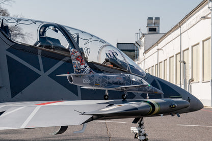 Kavan L-39 1088mm PNP - Skyfox